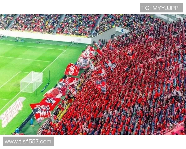 国外足球明星街头表演引发热潮球迷互动精彩纷呈展现魅力与才华