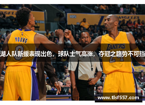 湖人队新援表现出色,球队士气高涨,夺冠之路势不可挡